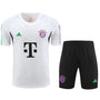 BAYERN MUNICH WHITE TRAINING KIT 2023/2024