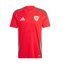 JERSEY WALES HOME 2024