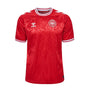 JERSEY DENMARK HOME 2024